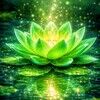 greenlotus1980